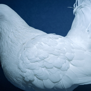 亚洲av男人天堂
